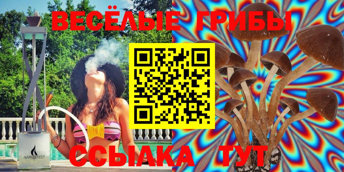 Галлюциногенные грибы GOLDEN TEACHER  Вход с VPN  Псилоцибиновые грибы Magic Shrooms  Менделеевск 