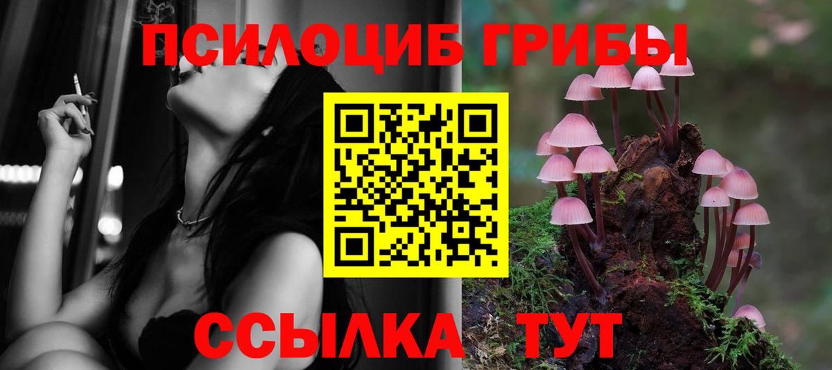Галлюциногенные грибы GOLDEN TEACHER Менделеевск